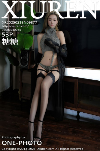 XiuRen秀人网-9877-糖糖-黑纱灰色针织情趣服黑丝-2025.02.13